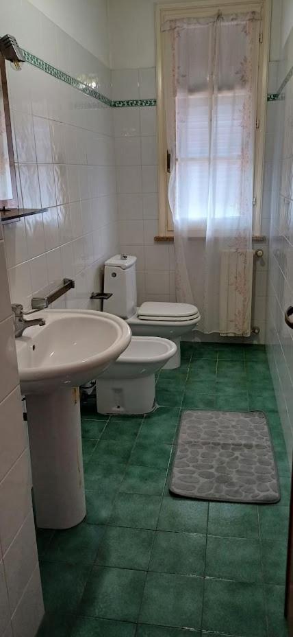Stella Hotel Cecina  Kültér fotó